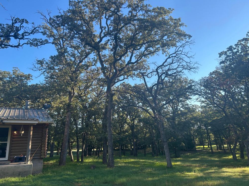 All Photos for Marks Tree Service in Fort Worth, TX