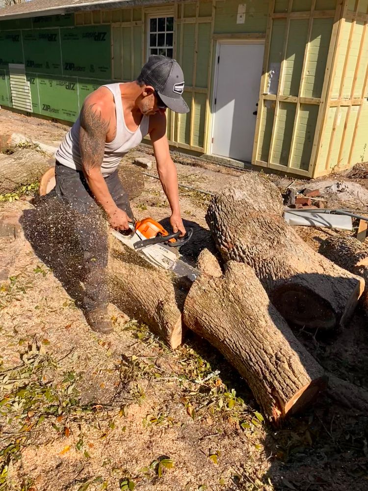 All Photos for Top Notch Tree Experts in Orange Park, FL