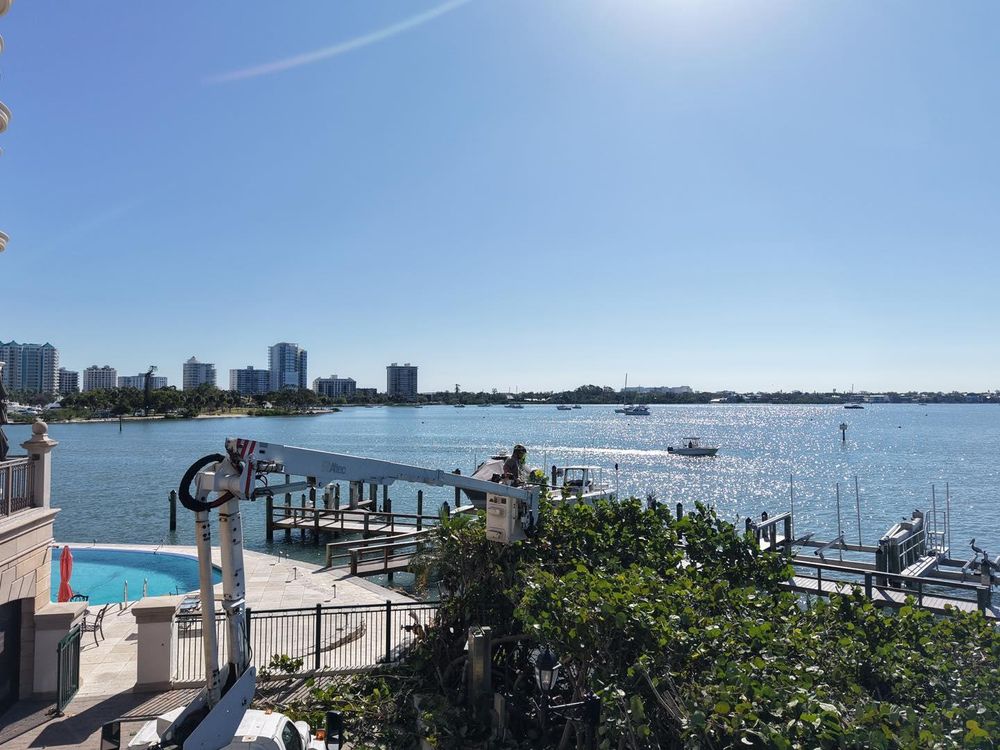 Stump Removal for Adam's Tree and Stump Care in Sarasota, FL