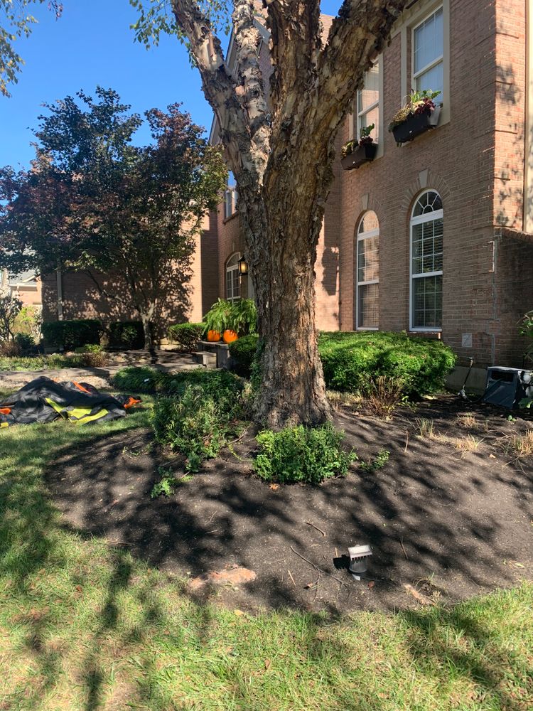 All Photos for Castle JR Landscaping & Painting LLC in Cincinnati, OH
