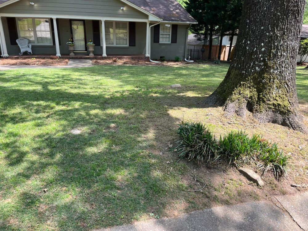 All Photos for Xtreme Landscaping & Lawn Care in Lincoln, AL