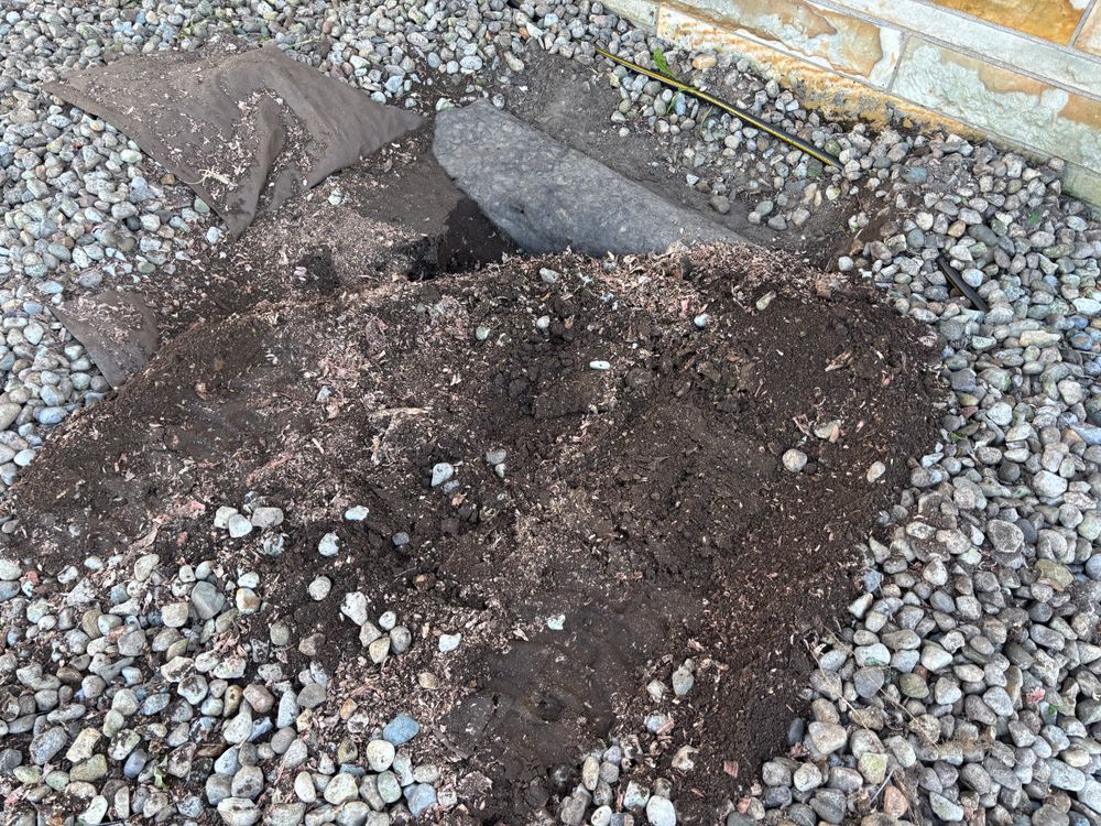 All Photos for Conrad's Stump Removal in Columbus, IN