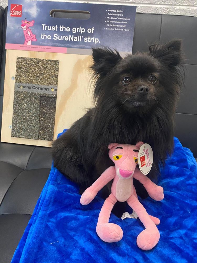 All Photos for Precision Remodeling and Property Maintenance  in Detroit, MI