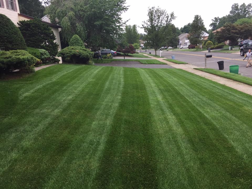 Mowing for Sanchez Home Services in Pompton Lakes, NJ