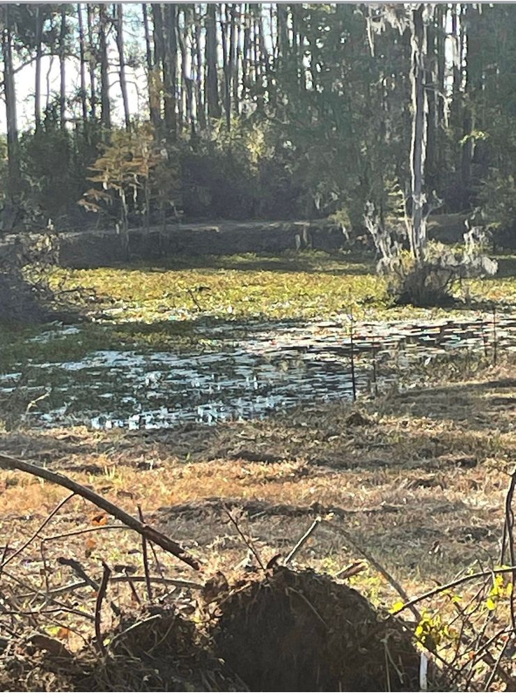 All Photos for Ewc Land Clearing and more in Lake Park, GA