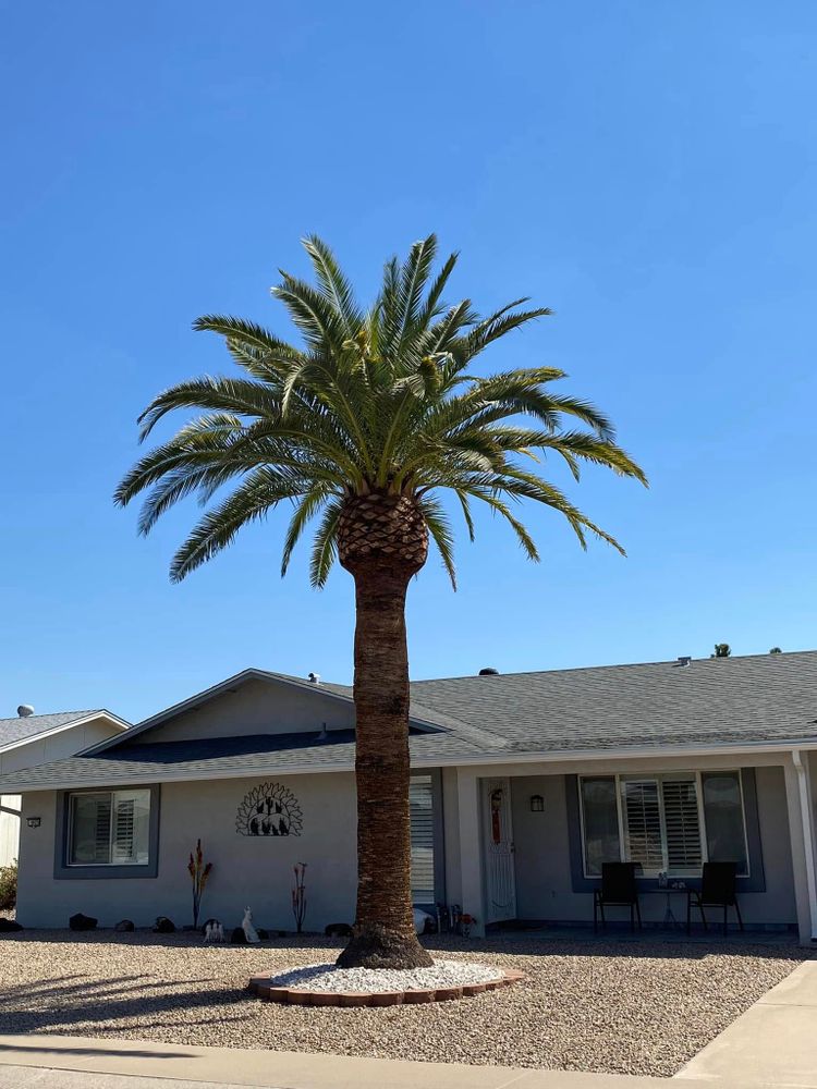 Hardscaping Landscaping for Ramirez Landscaping in El Mirage, AZ