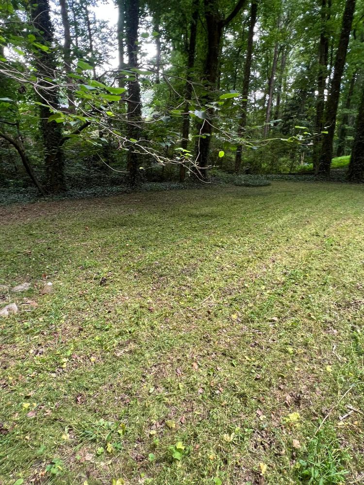 Landscaping for Williams Brothers Landscaping & Construction in Atlanta, GA