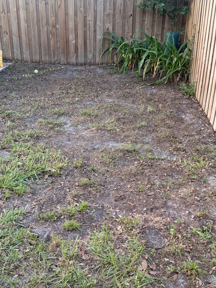All Photos for The Yardman in Tampa, FL