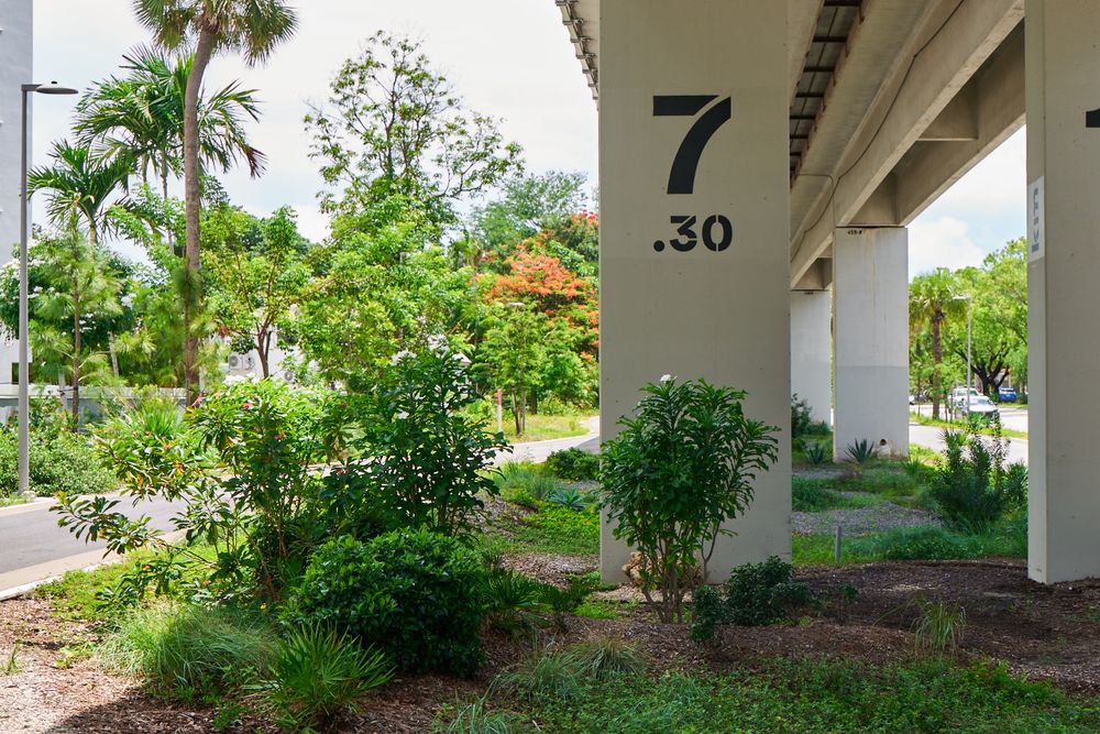 Landscape for Arazoza Brothers Corporation in Miami, FL