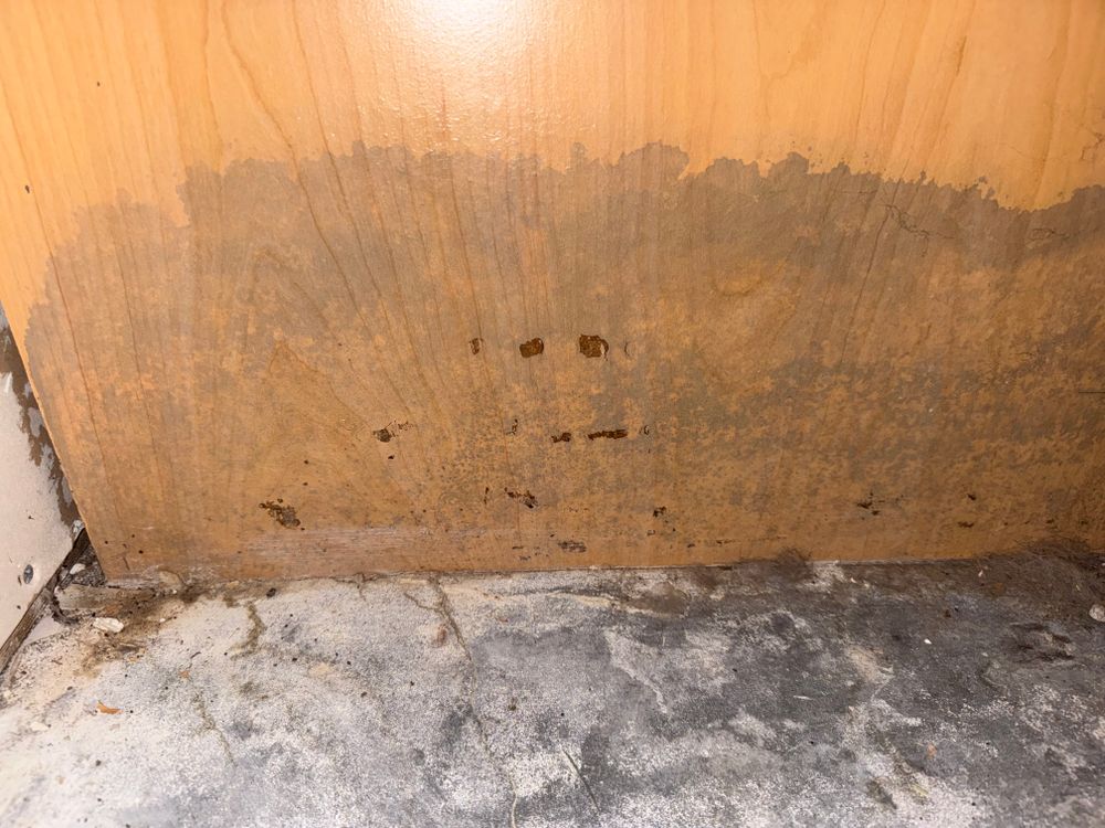 All Photos for N&D Restoration Services: When Disaster Strikes, We Come In in Cape Coral,  FL