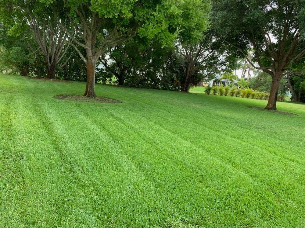 Landscaping for Unity Maintenance & More LLC in Englewood, FL