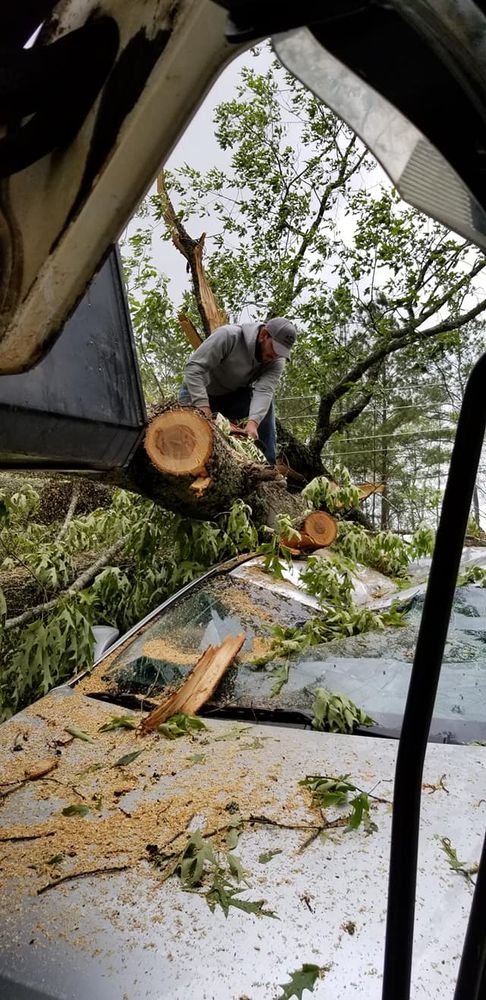  for DNA Tree Service in Birmingham, AL