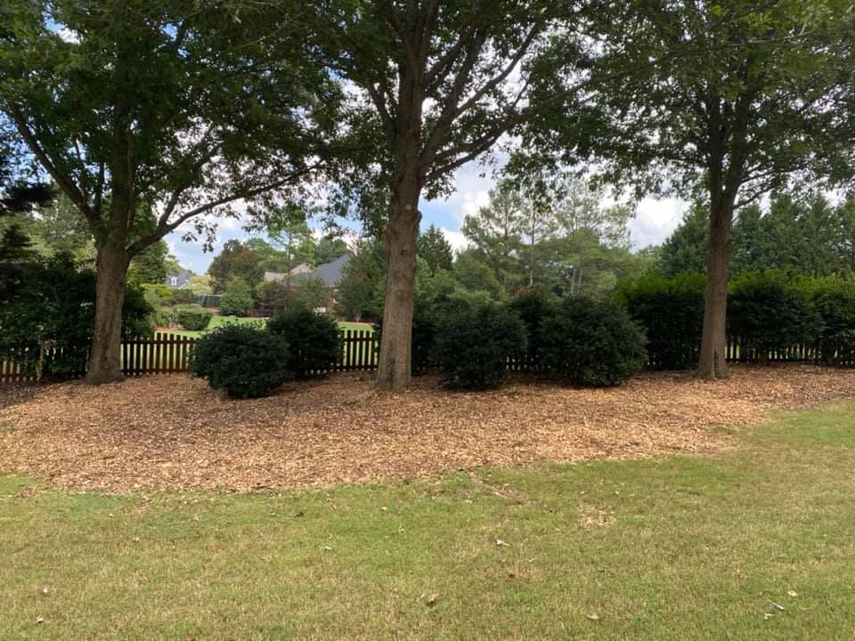 Landscaping for JIF Concrete Services in Greenville, SC