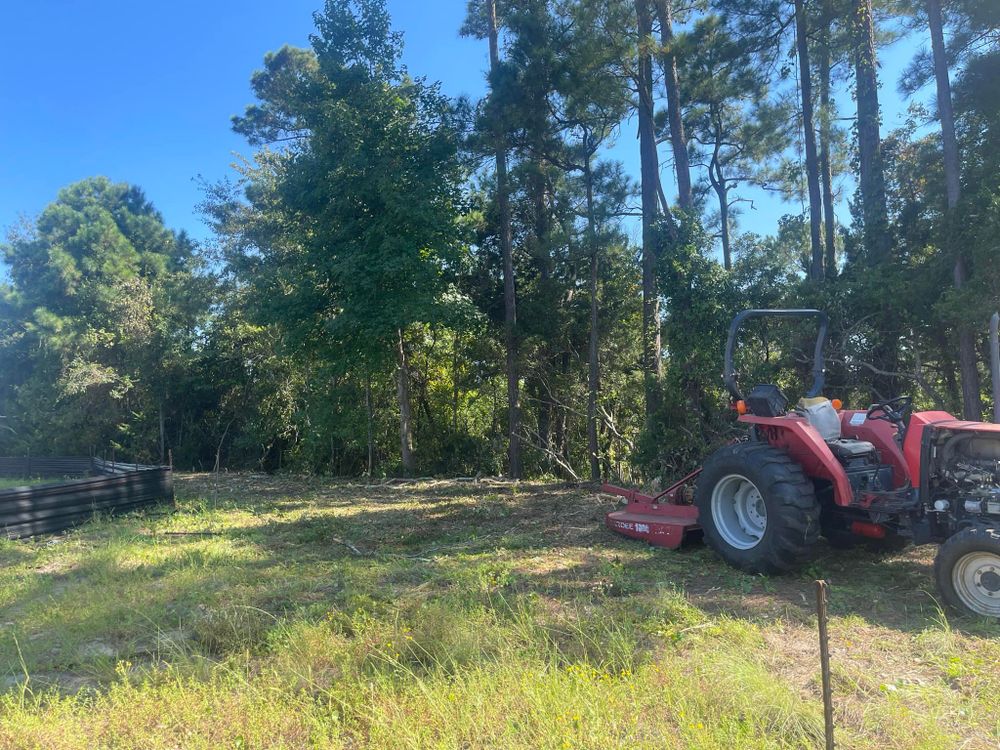 Tree Removal for Leland Firewood in Leland, NC