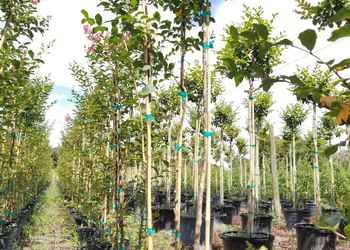 All Photos for Cunningham's Lawn & Landscaping LLC in Daytona Beach, Florida