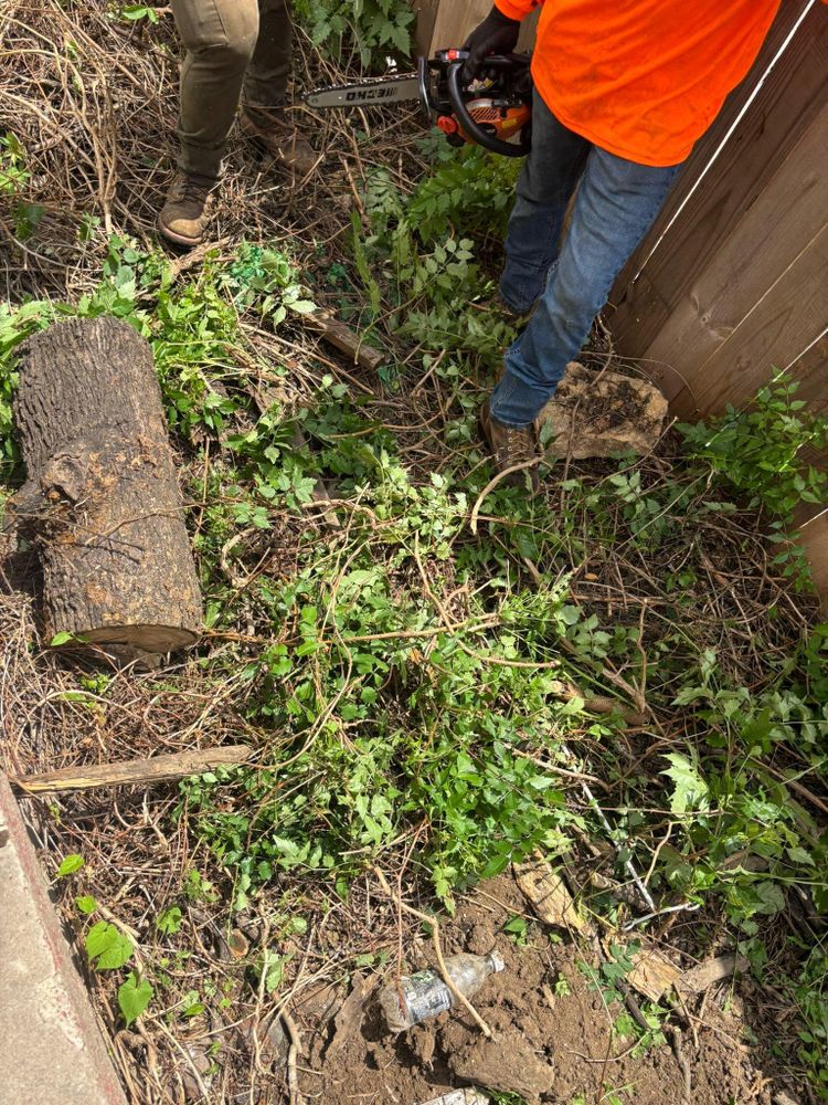 All Photos for Cross Family Tree Service in Kearney, MO