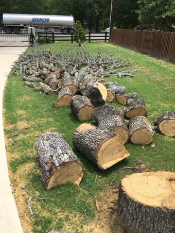 Our Stump Removal service efficiently eliminates unsightly stumps from your landscape, enhancing safety and improving the overall appearance of your property while preventing pest issues and promoting healthy lawn growth. for A Realtree Service in Garland, TX