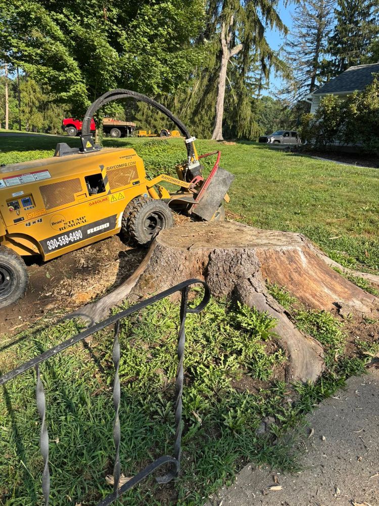 Our Stump Removal service efficiently eliminates unsightly tree stumps from your yard, enhancing its aesthetic appeal and preventing potential hazards. Enjoy a clear landscape ready for landscaping or new planting. for Dean's Stump Removal in Youngstown, OH