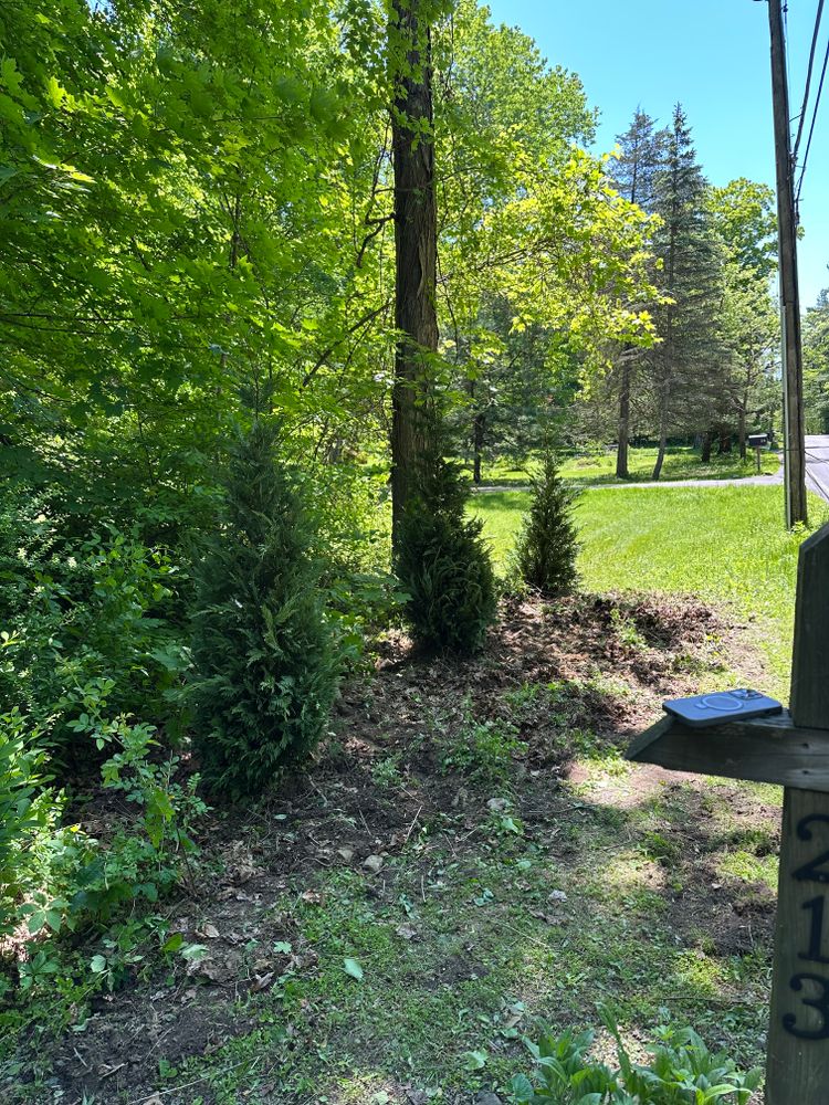 All Photos for Cuellar Lawn Care in Highland , NY 