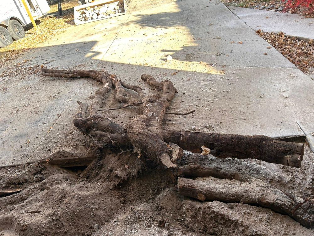 All Photos for Snider Concrete in Springfield, IL