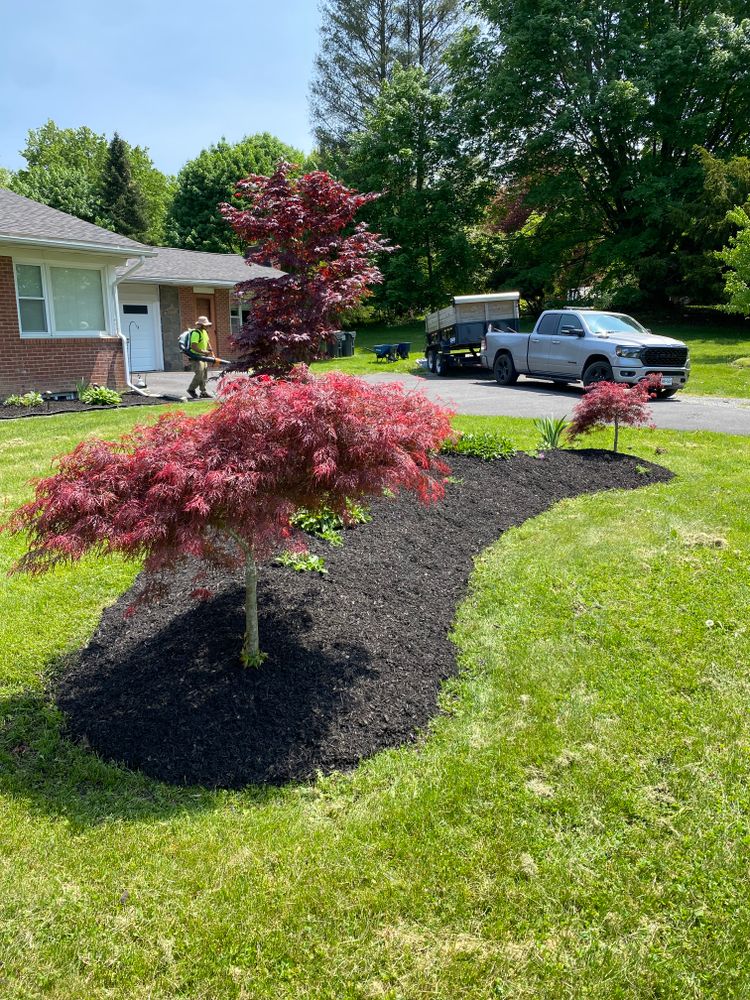 Fall and Spring Clean Up for Cuellar Lawn Care in Highland , NY 