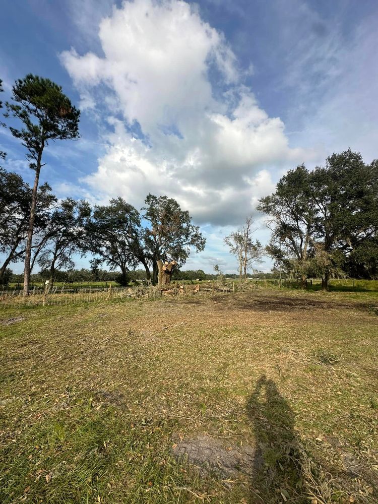 Forestry Mulching for Orange Cypress Land Services in DeLand, FL