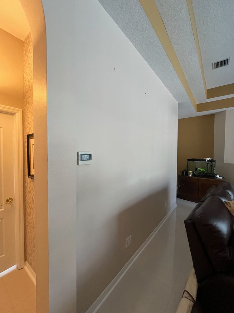 All Photos for Escorpio Painting in Tampa, FL