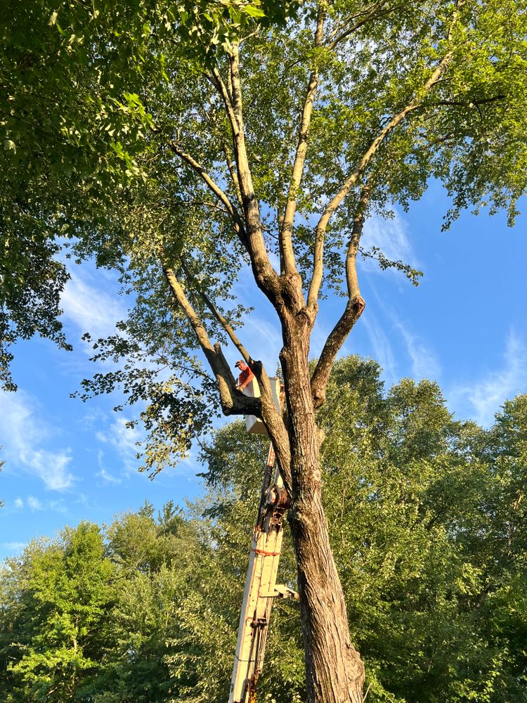 All Photos for Kadin’s Tree Service in North Vernon, IN