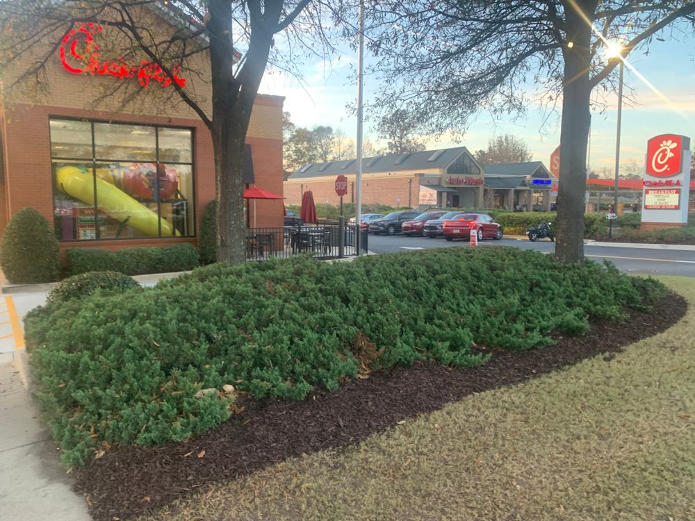 All Photos for Amerigreen Lawn & Landscape in Duluth, GA