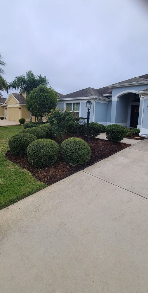 All Photos for TopNotch Landscaping Services  in The Villages, FL