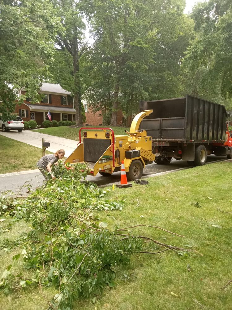 Tree Removal for Oakhurst Landscaping and Tree Service in Charlotte, NC