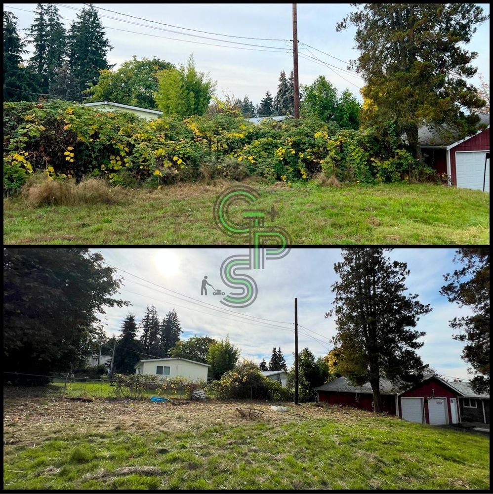 Fall Clean Up for Golovin Property Services LLC in Marysville, WA