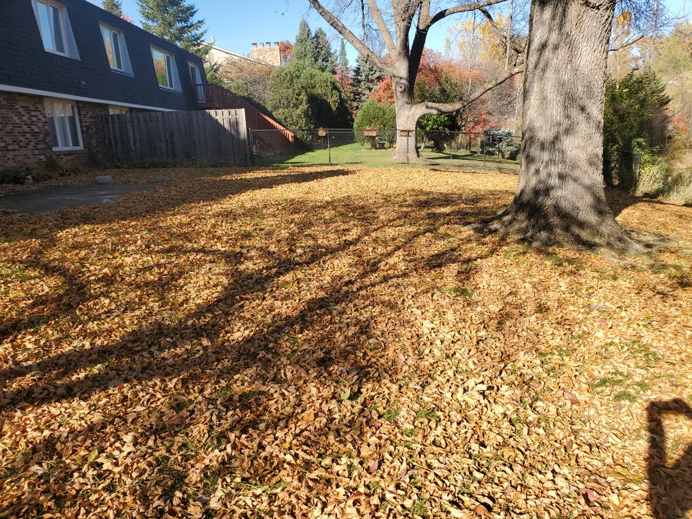 Fall clean up  for K & I Lawn Care Service  in Eden Prarie, MN