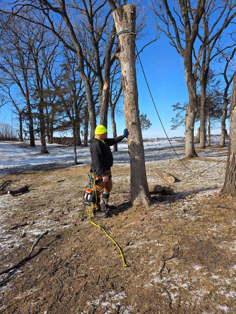 All Photos for Minnesota Seasonal LLC in Corcoran, MN