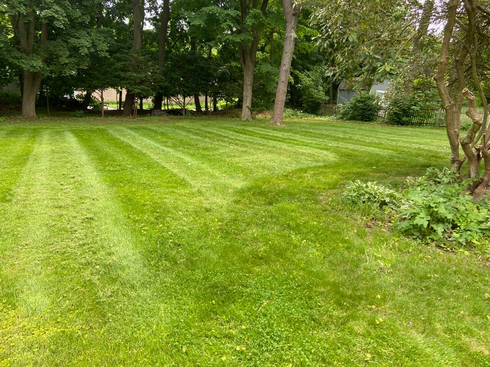 Lawn Maintenance  for Ace Landscaping in Trumbull, CT