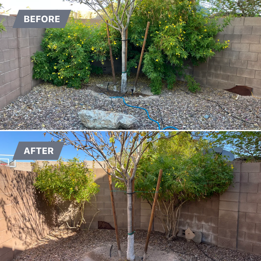 Topiary & Lawn Care for Grand Canyon State Landscape Inc. in Surprise, AZ