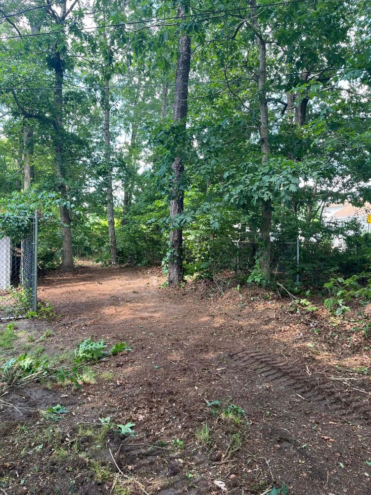 Enhance your property with our forestry mulching service, efficiently clearing overgrown areas and converting vegetation into enriching mulch, promoting healthier landscapes while preserving the natural beauty of your surroundings. for GT Lawn Care in Egg Harbor Township, NJ
