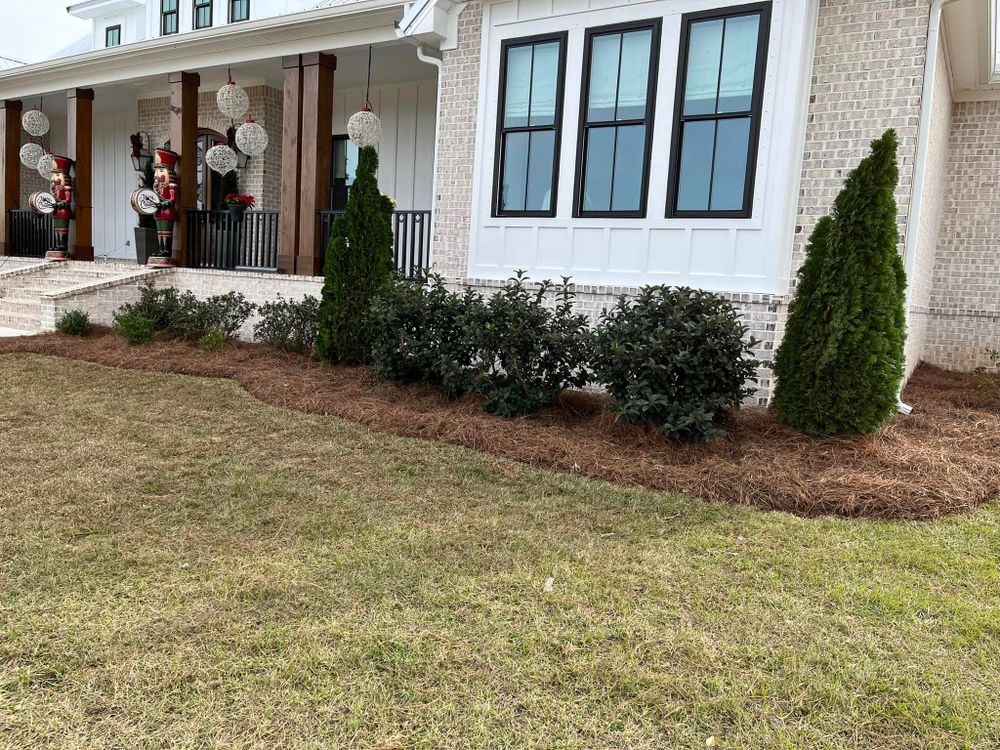 Lawn Care for Cut Above Lawn Service in Daphne, AL