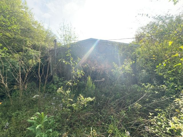 Tree Cleanup  for D&D Services of Pensacola in Pensacola, FL