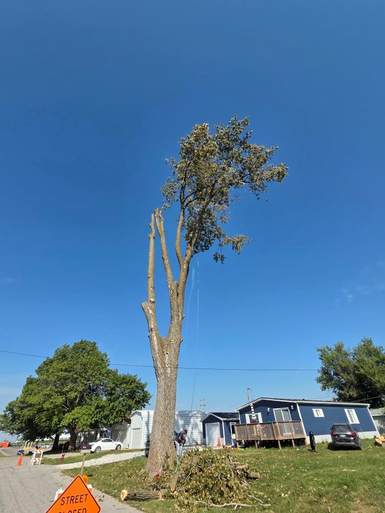 All Photos for Lawn Ranger Yard And Tree Service LLC in Ottumwa, IA