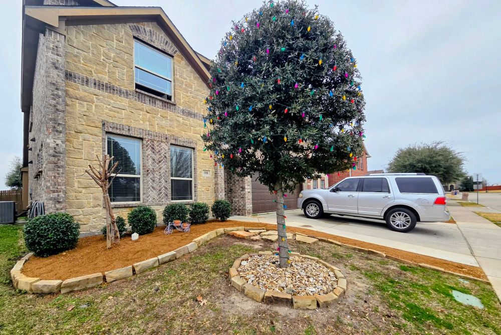 Enhance your landscape with our Tree & Shrub Care Weeding service, ensuring healthy growth by meticulously removing invasive weeds and providing the essential care your trees and shrubs need to thrive beautifully. for Lavon Lawn Plus in Lavon, TX
