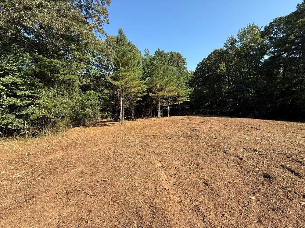 All Photos for Mud Creek Vegetation Management in Russellville, AL