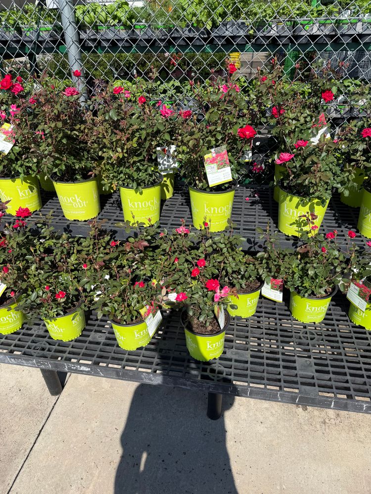 Landscaping for Starnes Hardscapes & Property Management LLC in Dunlap, TN