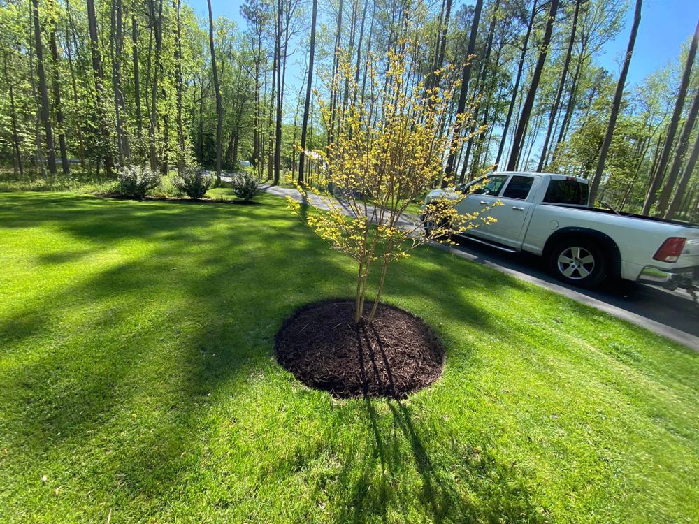 Landscaping for Lindsey's Lawn Care in Inman, SC
