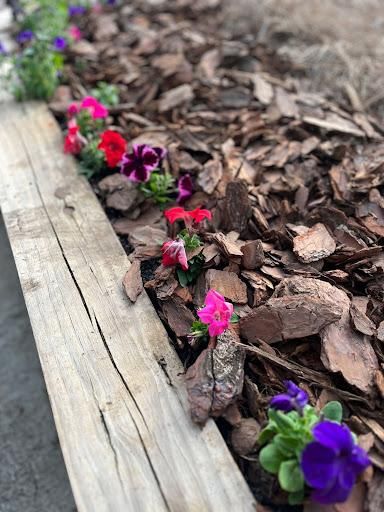 All Photos for Earth First Turf, LLC in Cherokee County, GA