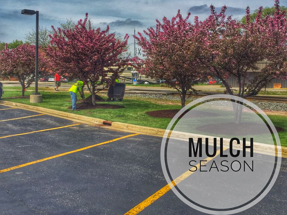 All Photos for Greenscape Lawns in Montague, MI