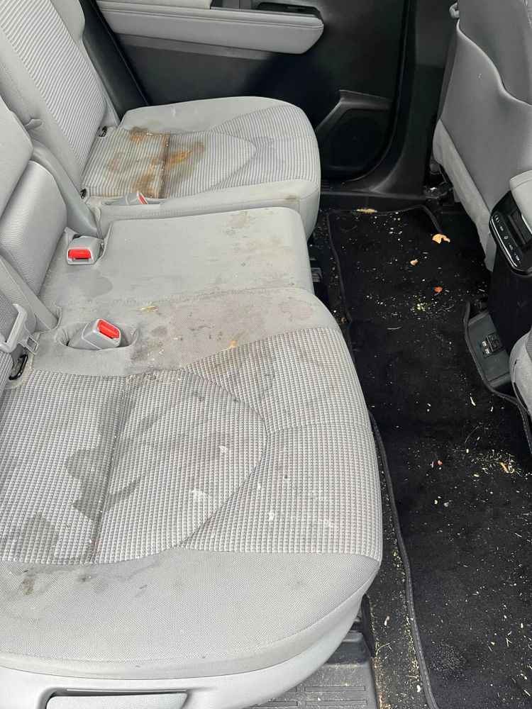 All Photos for Stain X Carpet Cleaning in Jacksonville, FL