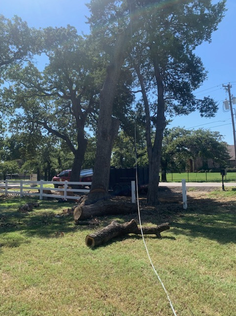 All Photos for Teague Trees and Land Clearing in Rendon, TX