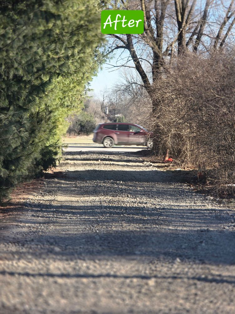 All Photos for D Hale Tree Service in Ann Arbor, MI