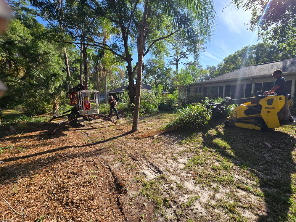 All Photos for Near Me Tree Service, Inc. in DeLand, FL